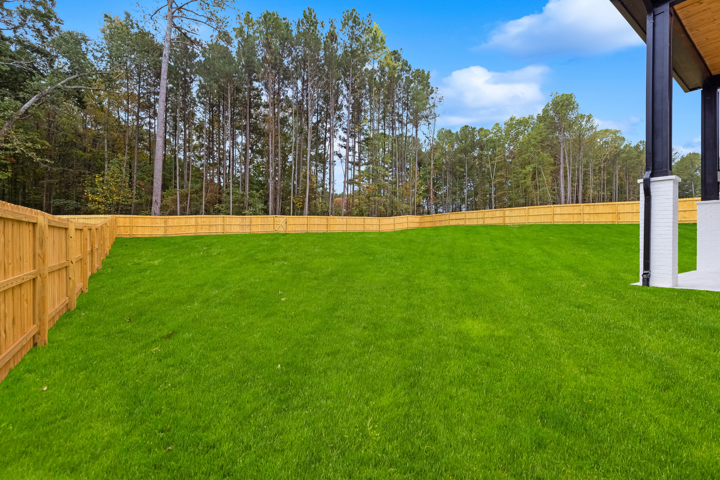 Backyard and rear elevation